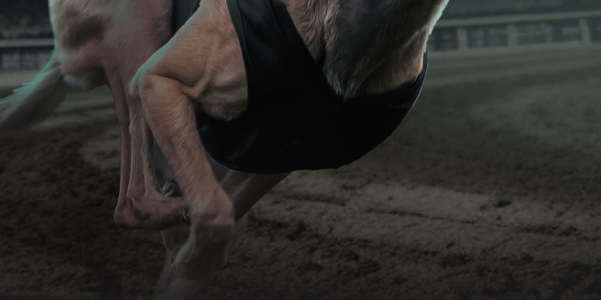 Greyhounds Hero